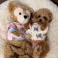 sweetlovelymelon