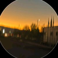 anayreynoso6