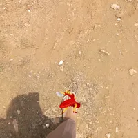 original sound - rzsk4yew10