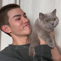 original sound - chinchilla