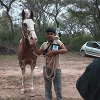 tiagoramirez6
