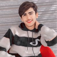 meharhamza5859