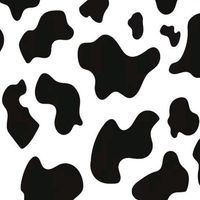 preppy_aestheticvideos1