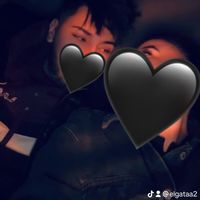 elgataa2
