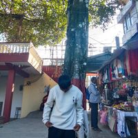 sundar_mgrx1