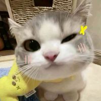 original sound - HNIN LAI LAI PHYU