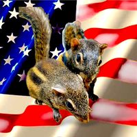 american_aun