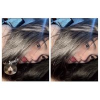 un_n04