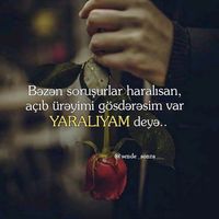 orijinal ses