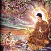 សំឡេងដើម - MNBoy