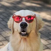 original sound - vilneckadestramento