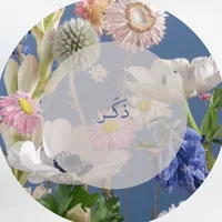 original sound - 4kkar