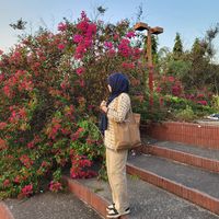nowmichowdhuryy