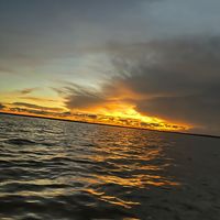 francismar_flrs
