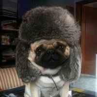 kto_eto_axax