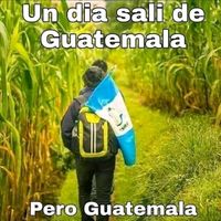 elchapinsolitario502