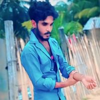 dilulifeviji