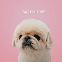 yeti_tenten
