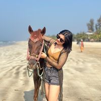 maylin594