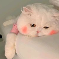 mik_225