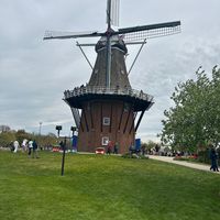torreslisbey