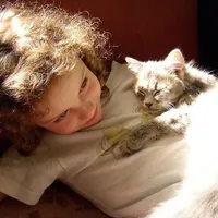 original sound - uvoltre