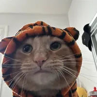 original sound - fariesinthegarden