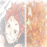 shoyo_minovio