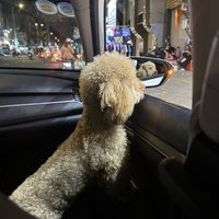 ndal_08