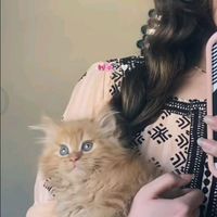 sanj4rani_sara