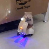 original sound - Nʜᴇᴇ