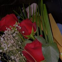 shan_o1