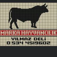 furkandeli75
