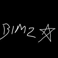 bimz_nokur