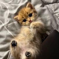 spam_gurll22