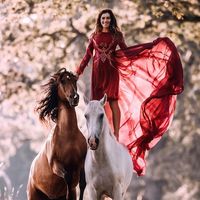 dancinghorses_official