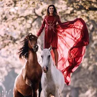 original sound - dancinghorses_official