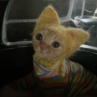 оригинальный звук