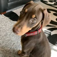 bamsnyajeykeyy
