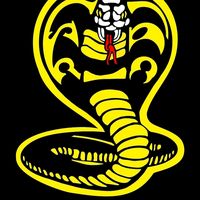 cobrakai4550