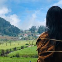suliday4