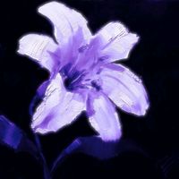 original sound - Mayᥫ᭡