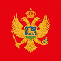 mne_global_network