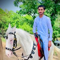jawad.fridi02