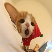 original sound - p0gqr