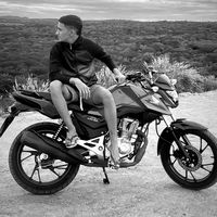 anderson.avls