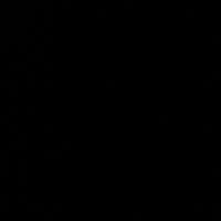 Chris Brown Electric Guitar