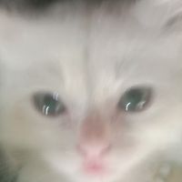 Miss na kita