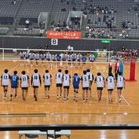 t.volley1102