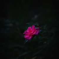 オリジナル楽曲 - ルイ